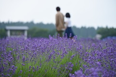 Holiday♪