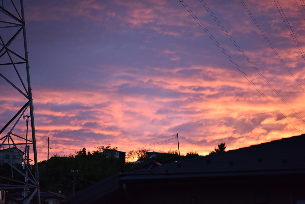 一日の終わり、それぞれの場所で。