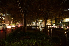 定禅寺通り　Ⅱ