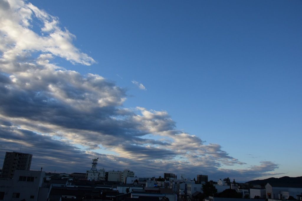 今日の運勢はいかに？