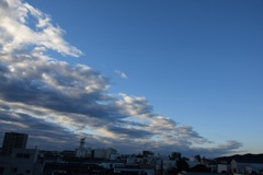 今日の運勢はいかに？