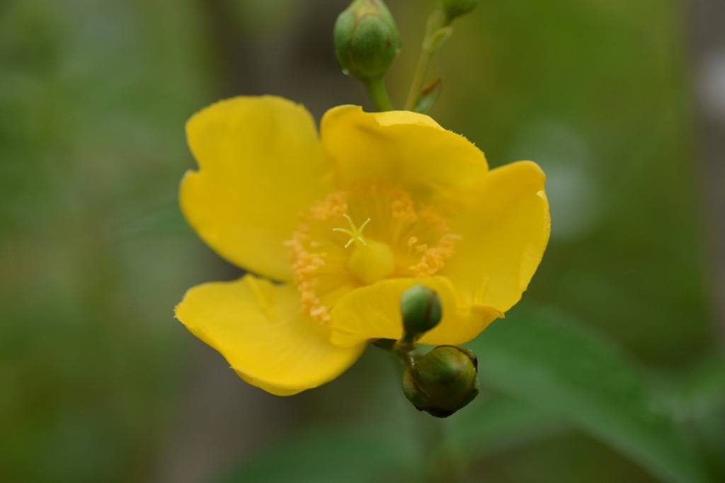 シャワーを浴びてスッキリした〜。