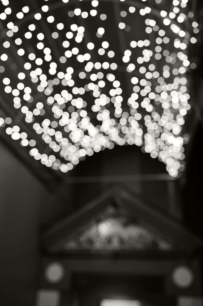 渋谷で、夜　１０