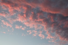 明日はいい事運んでくれるよ♪