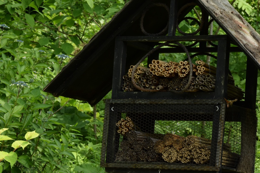 ギネス級大家族のおうちだね!