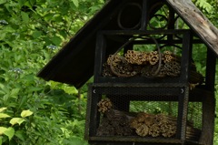 ギネス級大家族のおうちだね!