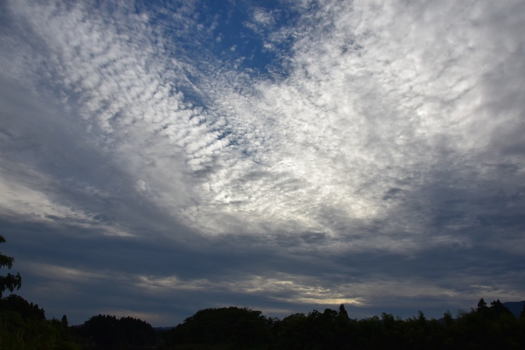 暗くならないうちに帰らなきゃ!