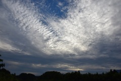 暗くならないうちに帰らなきゃ!