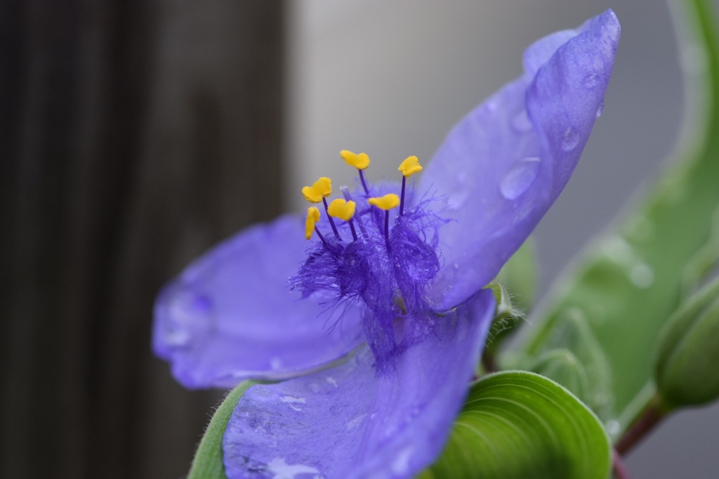 君達のダンスに目が釘づけ♪