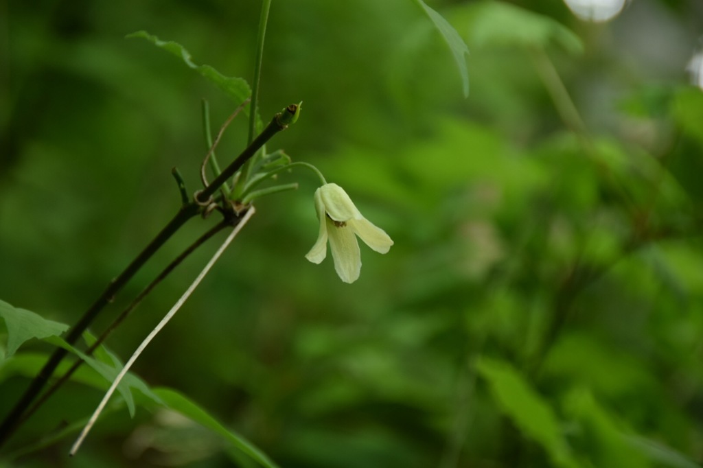 おやおや、こちらはしんみりと…。