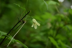 おやおや、こちらはしんみりと…。
