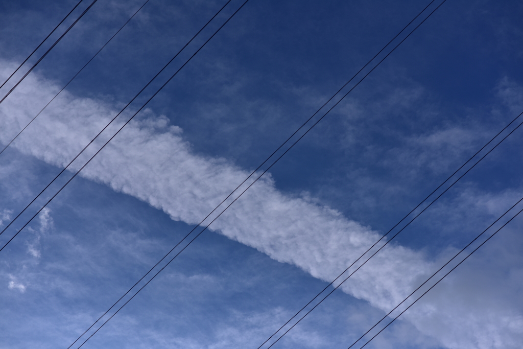 自由。手を伸ばして、掴む。