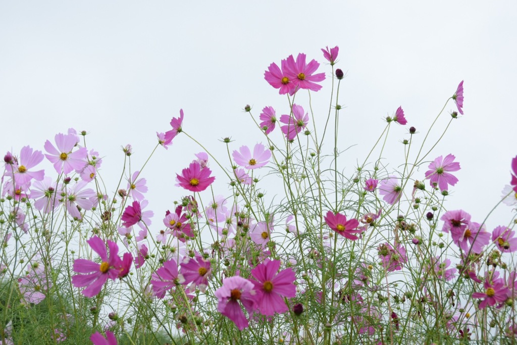 優しい風、 優しい君。