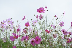 優しい風、 優しい君。