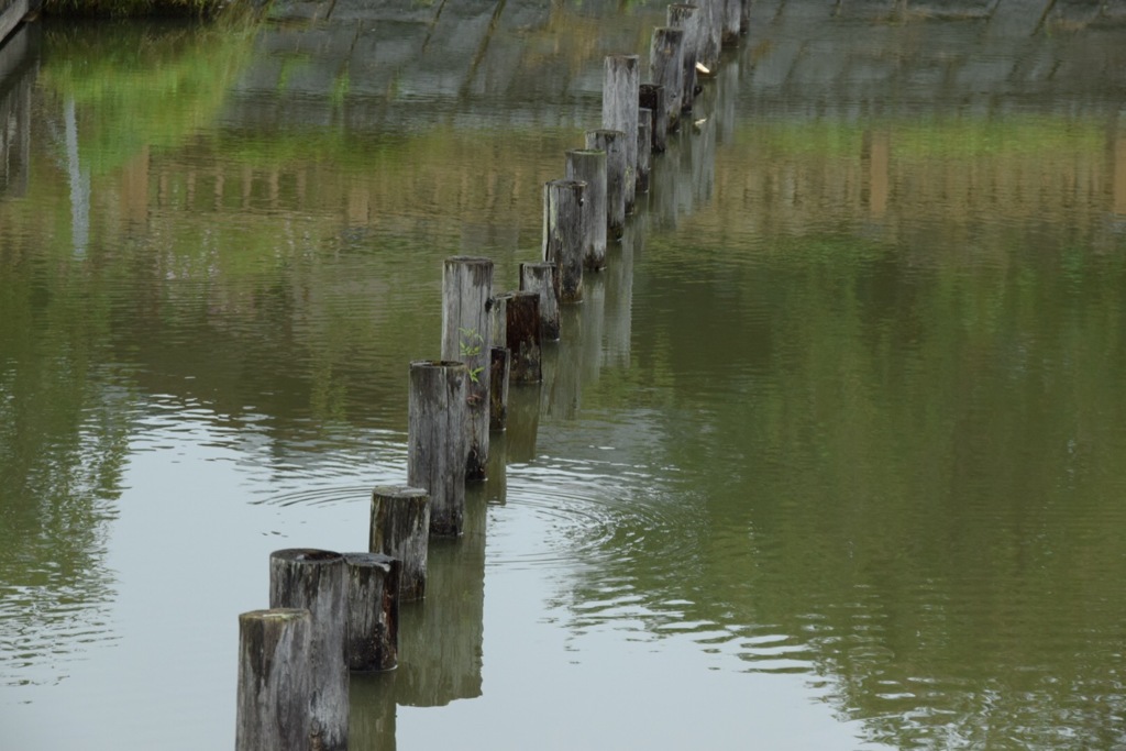 ピョンピョンピョン♪ってできるかな？ いや〜無理でしょ…。