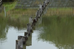 ピョンピョンピョン♪ってできるかな？ いや〜無理でしょ…。