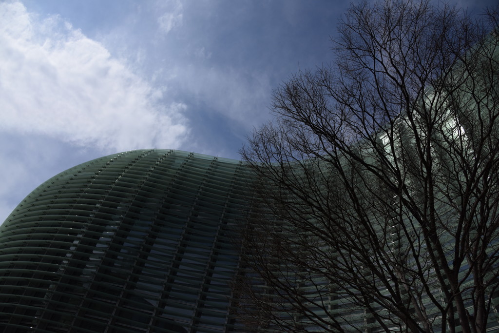 見惚れるcurve♪