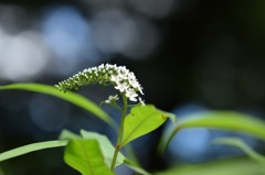 素敵な夜の予感。