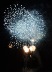 夜空に咲く火の花