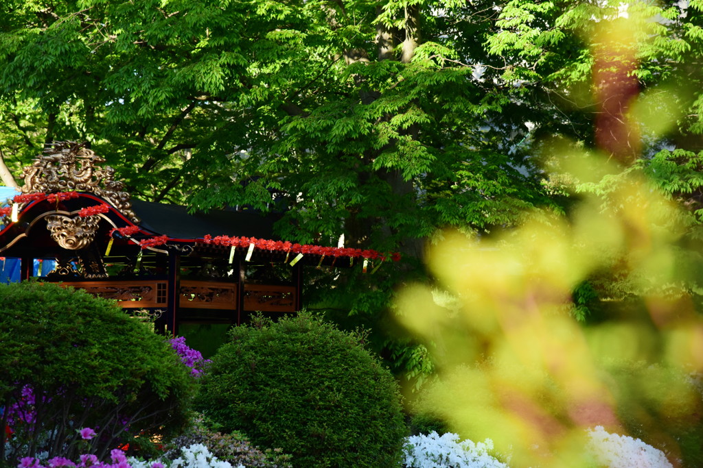 翌日からのまつりの…さわりだけ！