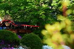 翌日からのまつりの…さわりだけ！