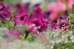 あー、なんだかさっぱりした!