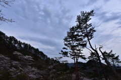 心の震え。