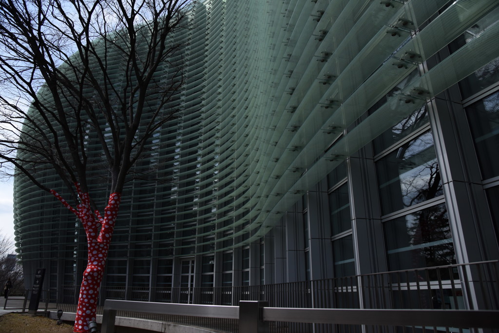 おしゃれした木♪