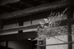 鶴岡旅。