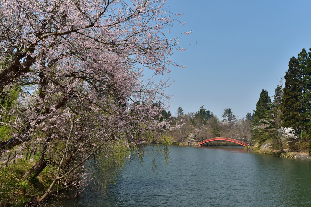 横手公園。