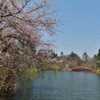 横手公園。