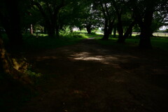 霞城公園　４