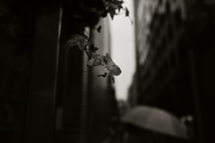 街スナ　９