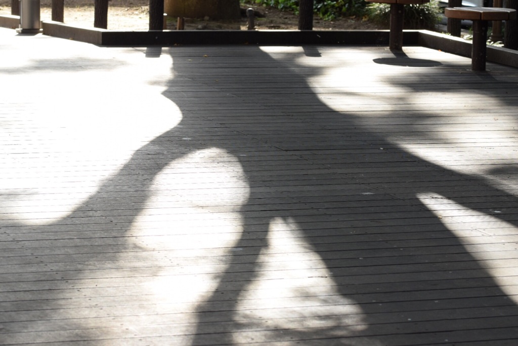 夏、喧騒の合間に。