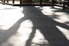 夏、喧騒の合間に。