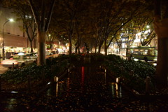 定禅寺通り　Ⅰ