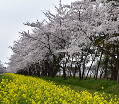 ひたすらひたすら、続く…。