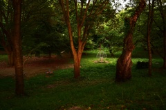 山形　公園