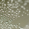 最近は、カルピスソーダ割りがお気に入り。