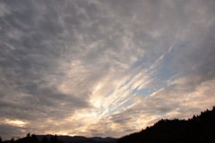 帰ろかな…もちょっといようかな…。