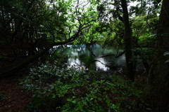 丸池様