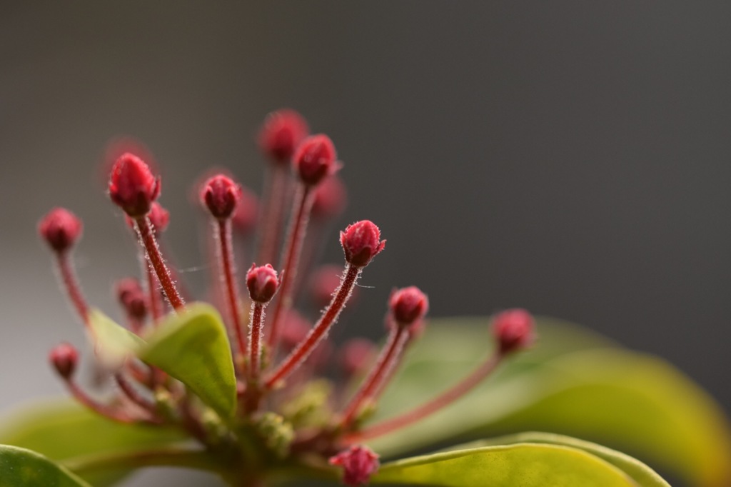 ようこそ、我が家へ!