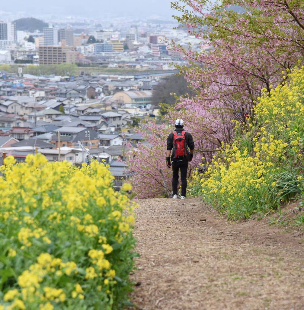 何か…少しだけ進みたくなる時。