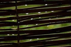 雨やまないかなぁ。