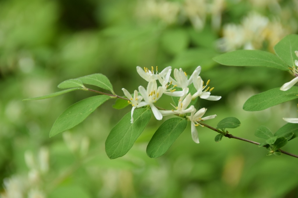 ぴょんぴょん跳ねてるね!