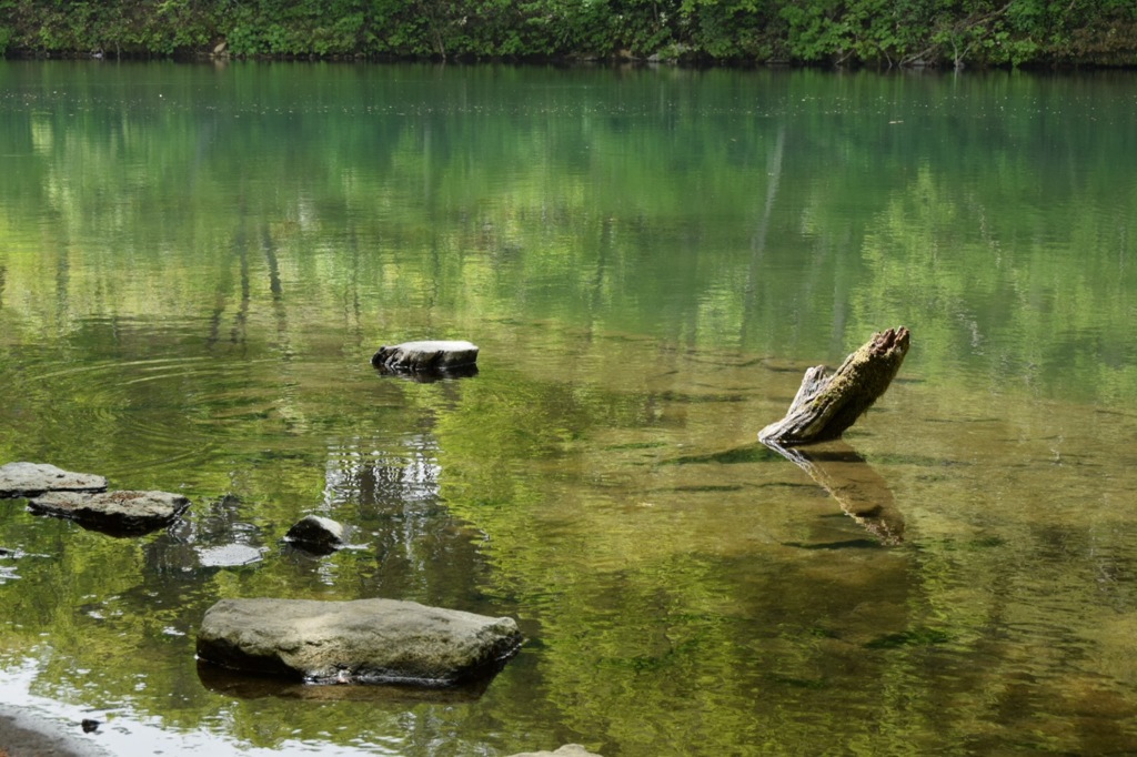 人それぞれ、もの想う。