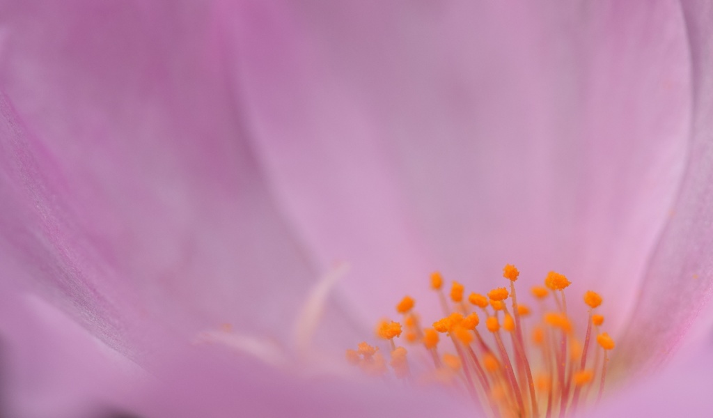 優しい気持ちは持ってたいんだけど…。