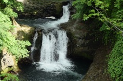 地元の人になりたい!