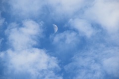 君の明日を想う。