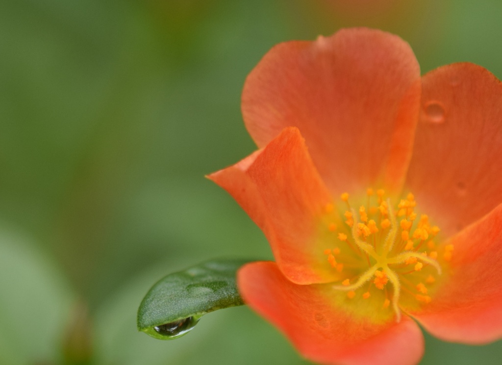 泣かないから⋯!